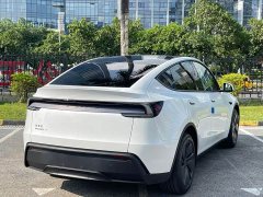Tesla Model Y Long Range Rear-Wheel Drive - ფოტო 14