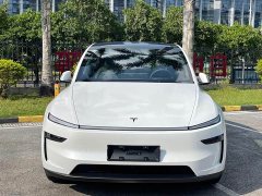 Tesla Model Y Long Range Rear-Wheel Drive - ფოტო 2