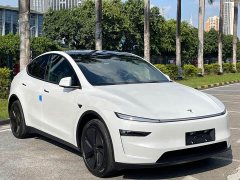 Tesla Model Y Long Range Rear-Wheel Drive - ფოტო 3