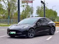 Tesla Model 3 Standard Range RWD Upgrade - ფოტო 1