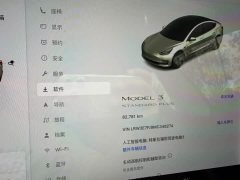 Tesla Model 3 Standard Range RWD Upgrade - ფოტო 13