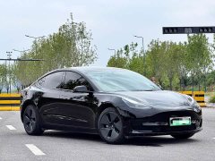 Tesla Model 3 Standard Range RWD Upgrade - ფოტო 3