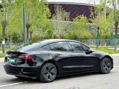 Tesla Model 3 Standard Range RWD Upgrade - ფოტო 4