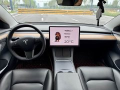 Tesla Model 3 Standard Range RWD Upgrade - ფოტო 7