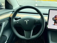 Tesla Model 3 Standard Range RWD Upgrade - ფოტო 9