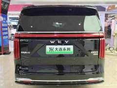 Great Wall WEY Shanshan New Energy Four-Wheel Drive Shanshan 9 - ფოტო 16