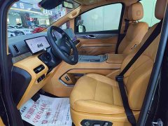 Great Wall WEY Shanshan New Energy Four-Wheel Drive Shanshan 9 - ფოტო 4