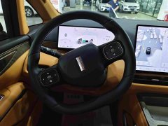 Great Wall WEY Shanshan New Energy Four-Wheel Drive Shanshan 9 - ფოტო 8