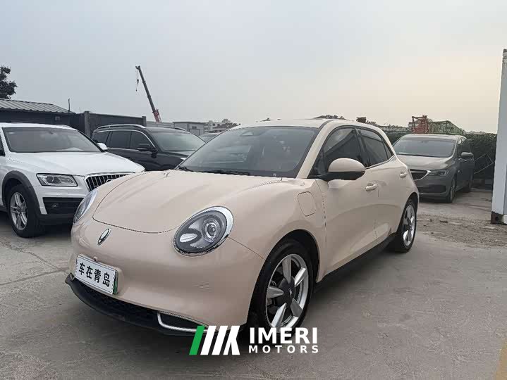 ORA Good Cat 401km Standard Range Deluxe LFP - ავტომობილი ჩინეთიდან