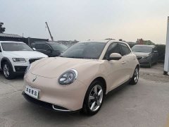 ORA Good Cat 401km Standard Range Deluxe LFP - ფოტო 1