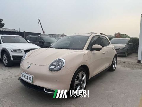 2023 ORA Good Cat 401km Standard Range Deluxe LFP - ავტომობილი ჩინეთიდან