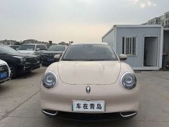 ORA Good Cat 401km Standard Range Deluxe LFP - ფოტო 2
