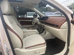 ORA Good Cat 401km Standard Range Deluxe LFP - ფოტო 4
