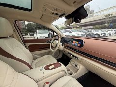 ORA Good Cat 401km Standard Range Deluxe LFP - ფოტო 8