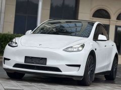 Tesla Model Y Rear-Wheel Drive - ფოტო 1
