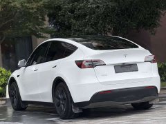 Tesla Model Y Rear-Wheel Drive - ფოტო 10