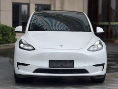 Tesla Model Y Rear-Wheel Drive - ფოტო 2