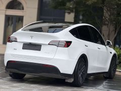 Tesla Model Y Rear-Wheel Drive - ფოტო 8