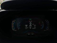 Chery Ant Sweet Pink Half-Sugar Ternary Lithium 30kW 301km - ფოტო 8
