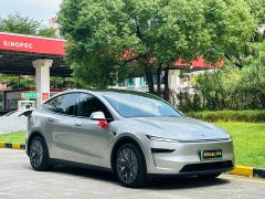 Tesla Model Y L 2025 Long Range All-Wheel Drive - ფოტო 3