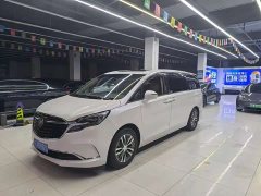 Buick GL8 ES Land Respect 653T Respect Enjoyment Edition - ფოტო 1