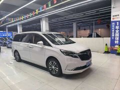 Buick GL8 ES Land Respect 653T Respect Enjoyment Edition - ფოტო 3
