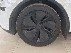 Tesla Model Y Rear-Wheel Drive - ფოტო 3