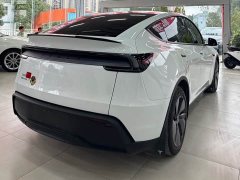 Tesla Model Y Rear-Wheel Drive - ფოტო 8