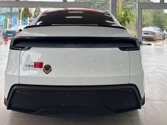 Tesla Model Y Rear-Wheel Drive - ფოტო 9