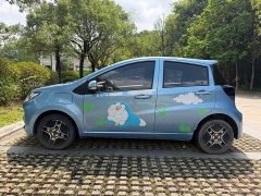 Flower Fairy 200km Classic - ფოტო 13
