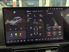 Li Auto L8 Pro - ფოტო 14