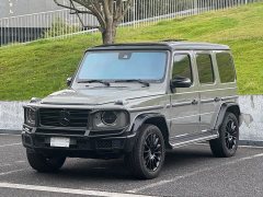 Mercedes-Benz G-Class G 400 d - ფოტო 1