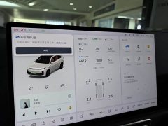 Li Auto L7 Pro - ფოტო 12