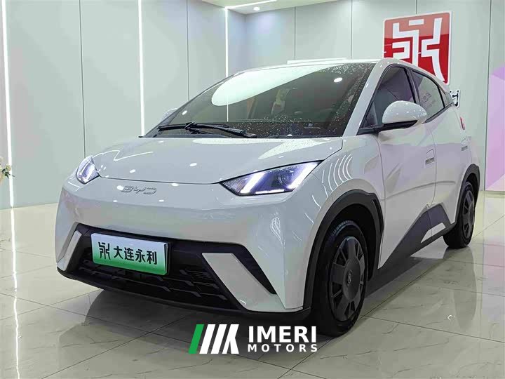 BYD Seagull 305km Vitality Edition - ავტომობილი ჩინეთიდან