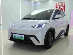 BYD Seagull 305km Vitality Edition - ფოტო 1