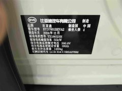 BYD Seagull 305km Vitality Edition - ფოტო 13