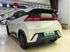 BYD Seagull 305km Vitality Edition - ფოტო 16