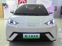 BYD Seagull 305km Vitality Edition - ფოტო 2