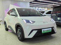 BYD Seagull 305km Vitality Edition - ფოტო 3
