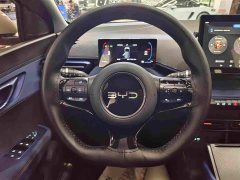 BYD Seagull 305km Vitality Edition - ფოტო 8