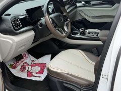 BYD Qin PLUS Champion Edition EV 510KM Excellence - ფოტო 5