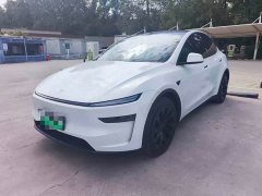 Tesla Model Y Long Range All-Wheel Drive Launch Edition - ფოტო 1