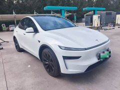 Tesla Model Y Long Range All-Wheel Drive Launch Edition - ფოტო 3