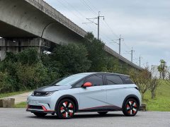 BYD Dolphin 401km Knight Edition - ფოტო 1