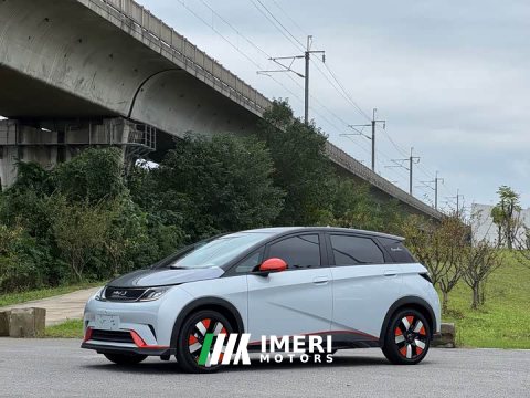 2023 BYD Dolphin 401km Knight Edition - ავტომობილი ჩინეთიდან
