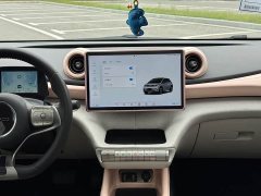 BYD Dolphin 401km Knight Edition - ფოტო 10