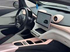 BYD Dolphin 401km Knight Edition - ფოტო 13