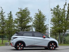 BYD Dolphin 401km Knight Edition - ფოტო 16