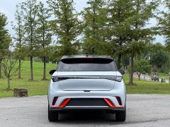 BYD Dolphin 401km Knight Edition - ფოტო 17
