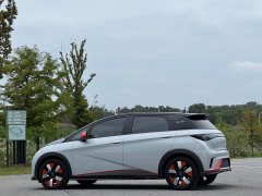 BYD Dolphin 401km Knight Edition - ფოტო 18